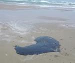 Surgen manchas de crudo en Playa Miramar