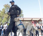 Vuelve la violencia a escuelas de Monterrey