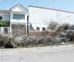 No retiran árboles cortados en la colonia Rodríguez que afectan visibilidad a conductores