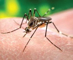 Registran ya 17 casos de dengue en el estado
