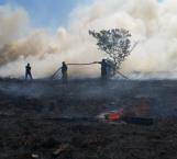 Evacuan dos escuelas por incendio al sur de Altamira