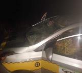 Impacta taxi a equino, pasajera lesionada