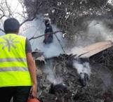 Reportan un muerto tras desplome de avioneta en Atizapán