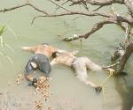Flotan cuerpos de braceros en el Río Bravo