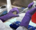 Investigan células para retrasar aparición del cáncer