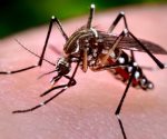 Aumenta número de países con casos de Zika