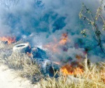 Daño ecológico a causa de incendios