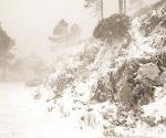 Nevadas en el sur de Nuevo León