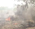 Reportan quema de hectáreas en brecha