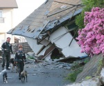 Suman 40 muertos tras dos fuertes sismos en Japón