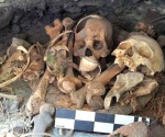 Encuentran guacamaya momificada en cueva de Chihuahua