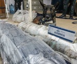 Agente canino intercepta 45 Kg. de mariguana