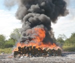 Destruyen mariguana con fuego