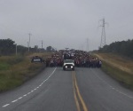 Cierran carretera contra gasolinazos en el centro de Tamaulipas