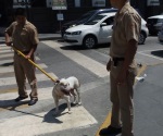 Pitbull ataca a niño regio en plaza principal de Tampico
