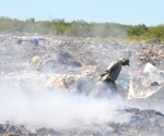 Urge frenar la contaminación en Las Anacuas