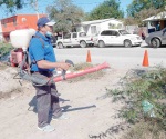 Primer lugar en dengue en Reynosa