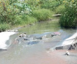 Resurgen las fugas de aguas negras en Mitras y R. Obrera