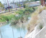 Gigantesco foco de infección dren Reynosa y nadie se preocupa