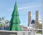 Instalan en Plaza Principal el pino navideño tradicional