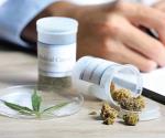 Rechaza SE lineamientos de COFEPRIS por cannabis