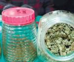Ordenan delinear uso de cannabis médico