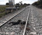 Muere ranchero arrollado por el tren