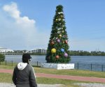 Enciende pino navideño en Tampico el Gobernador