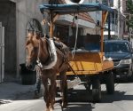 Jubilarán caballos en Madero para sustituirlos por motocicletas