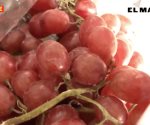 Conservan precio de la uva