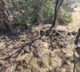 Descubren tres cuerpos enterrados en Sahuayo