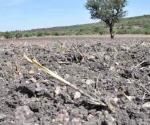 Alertan por fuerte sequía en la región