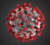 Sube a 425 muertos por coronavirus en China