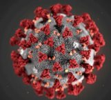 Podría llegar el coronavirus en próximas semanas a México