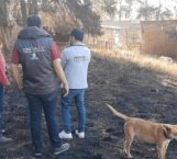 Provocan incendio en un albergue canino