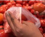 Desciende a 8.00 pesos el precio de tomate por kilo