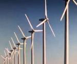 Afectará a Reynosa y Tamaulipas freno a energías renovables