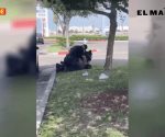 Oficial golpea a hombre arrodillado sobre su cuello