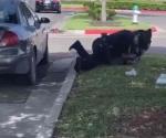 Oficial golpea a hombre arrodillado sobre su cuello