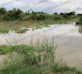 Prevén que nivel de agua del Bravo llegue a 9 metros en Matamoros