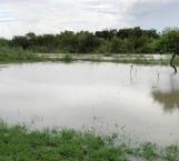 Empiezan aguas del Bravo a inundar las zonas bajas de Matamoros