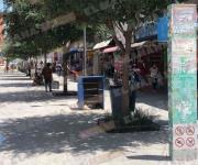 Activa comercialmente la peatonal Hidalgo
