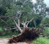 Cierran zonas arqueológicas por daños provocados por la tormenta Gamma