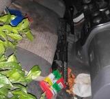 Golpe a la delincuencia: autos, armas, drogas y detenidos, el saldo de operativos en Tamaulipas