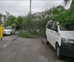 Así vivió turista el huracán Delta en Quintana Roo