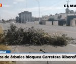 Maleza de árboles bloquea Carretera Ribereña