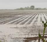 Dejan lluvias más de 2 pulgadas de humedad
