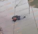Flota cadáver de un hombre en aguas del río Bravo