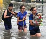 Rescatan a perros de fuertes lluvias