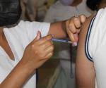 Pfizer y Sinovac lideran vacunación en Tamaulipas